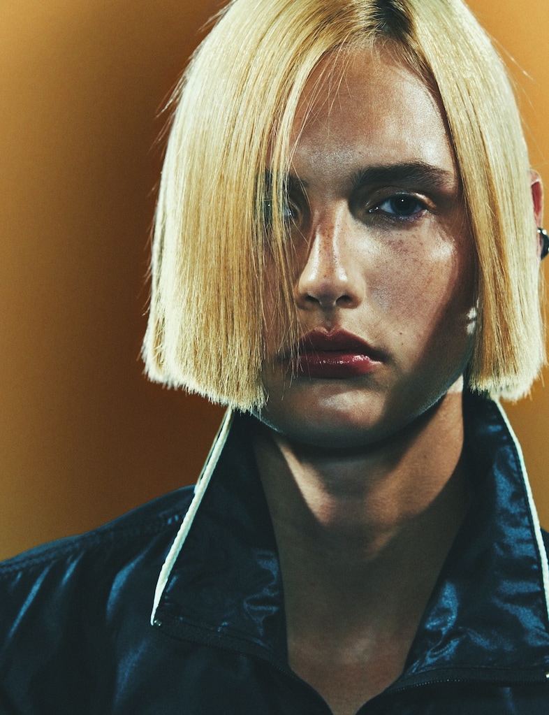 Music for Chameleons