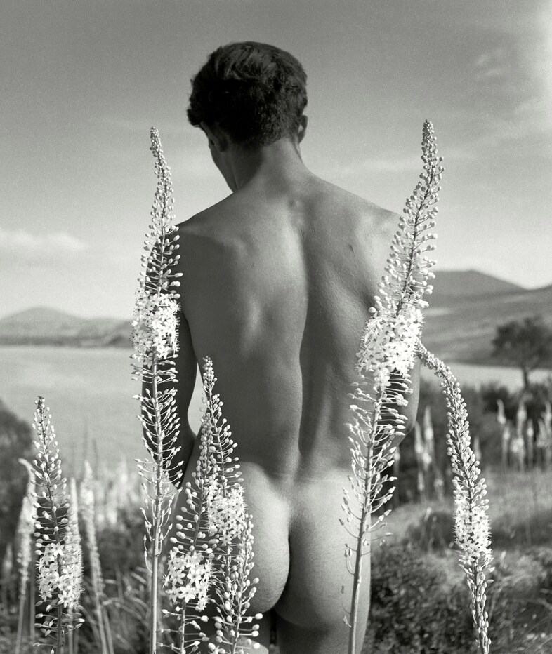 HLi_F_184_HERBERT_LIST_Nude_from_the_back_with_des