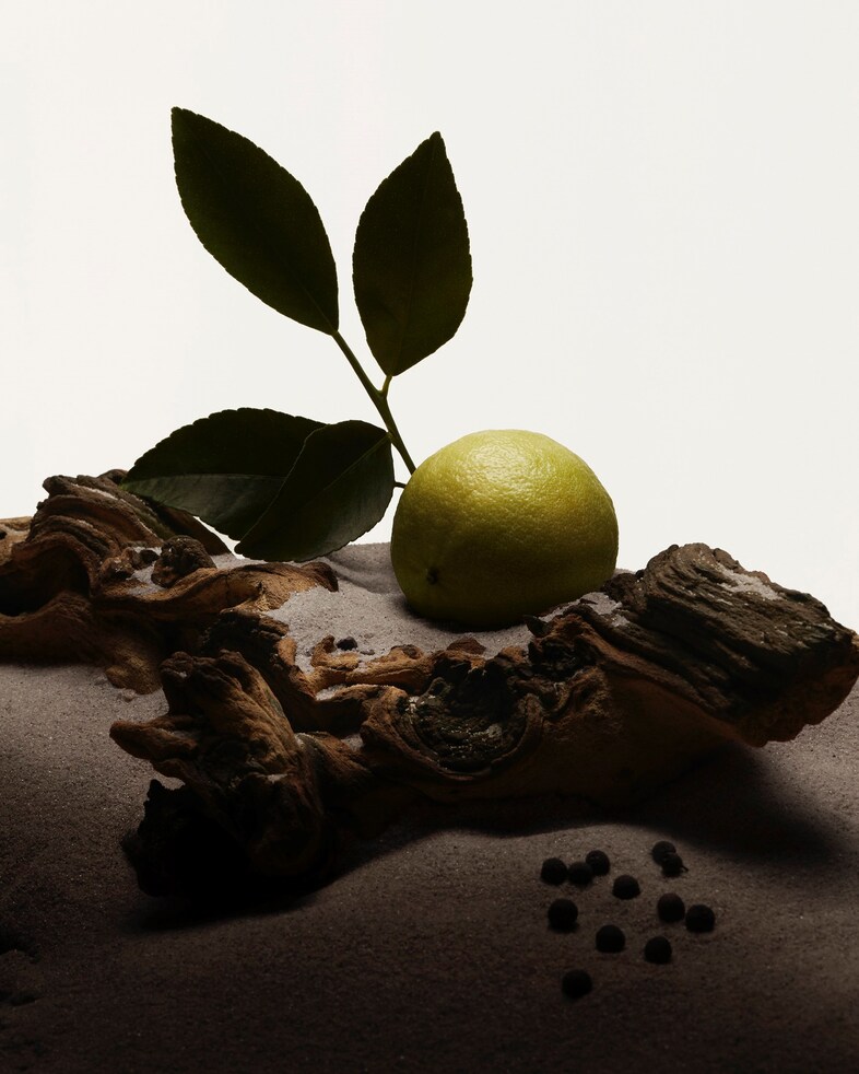 2020_BEAUTY_FRAGRANCE_B5_HERO_SUPPORTING_STILLLIFE