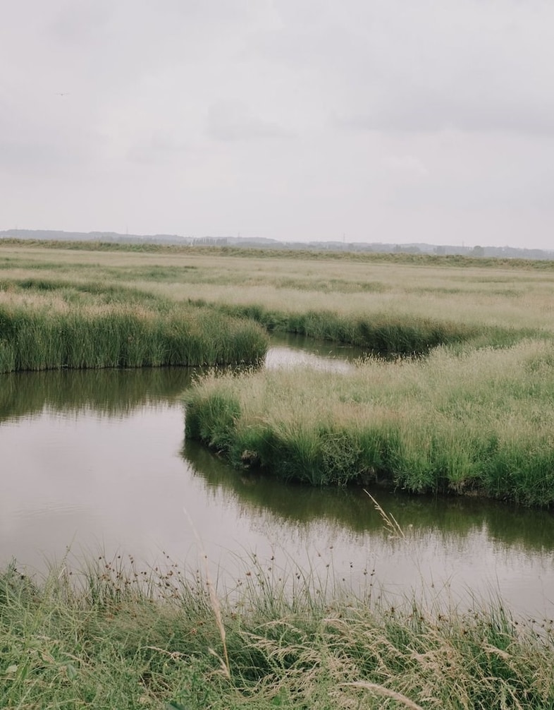 homework_in_harmony_with_nature_1024x1024