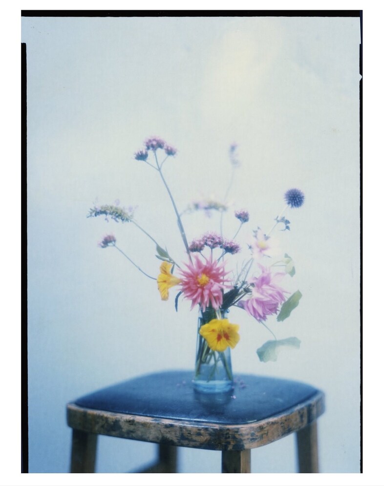 Have a Butchers Print Sale