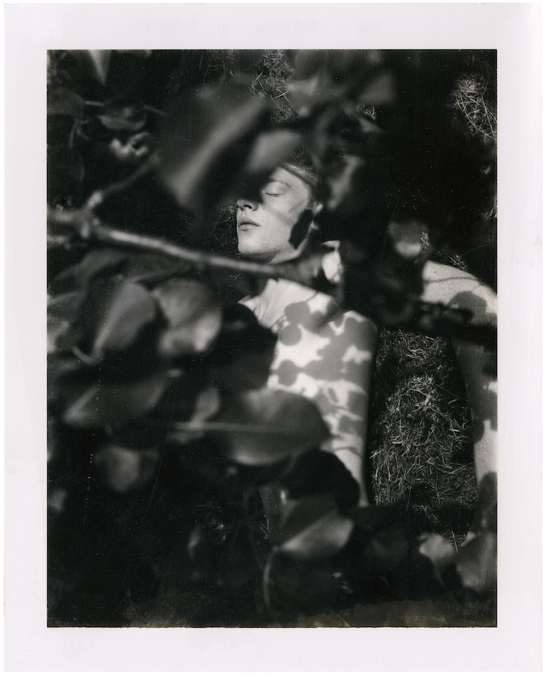 August by Collier Schorr Mack Books