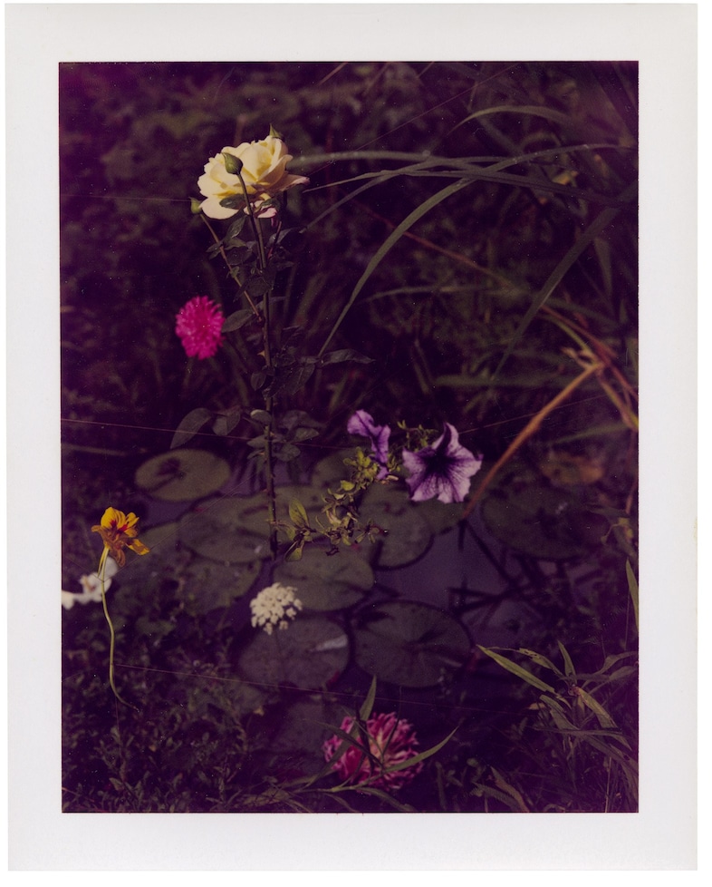 August by Collier Schorr Mack Books