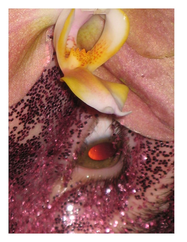 Harley Weir Beauty Papers IDEA