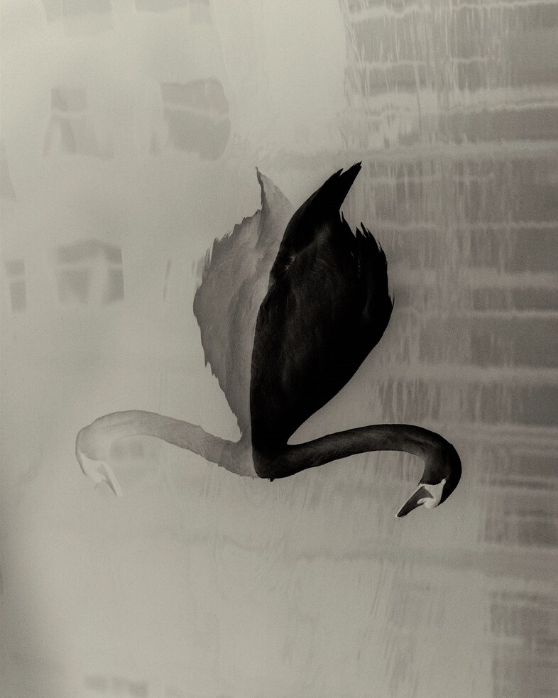 Unseen Amsterdam Photography Fair
