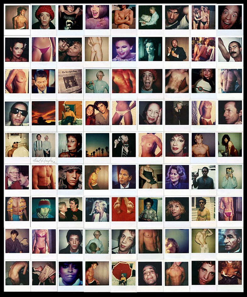 Portraits of an Era, Polaroid Collage #1 (81 Portr
