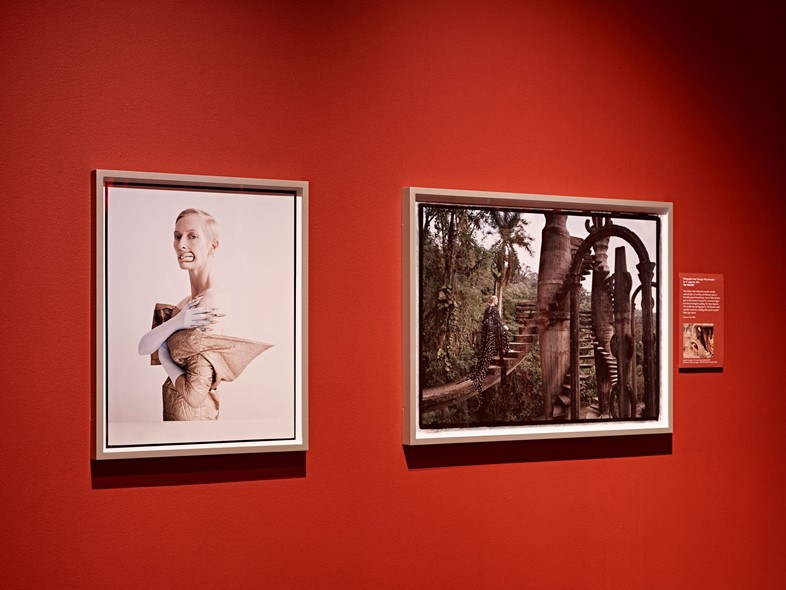 Tim Walker (2013) in the Objects of Desire exhibition