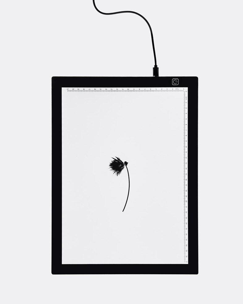 Mercurial, Hirsute, Quotidian, Stacked: AnOther Loves