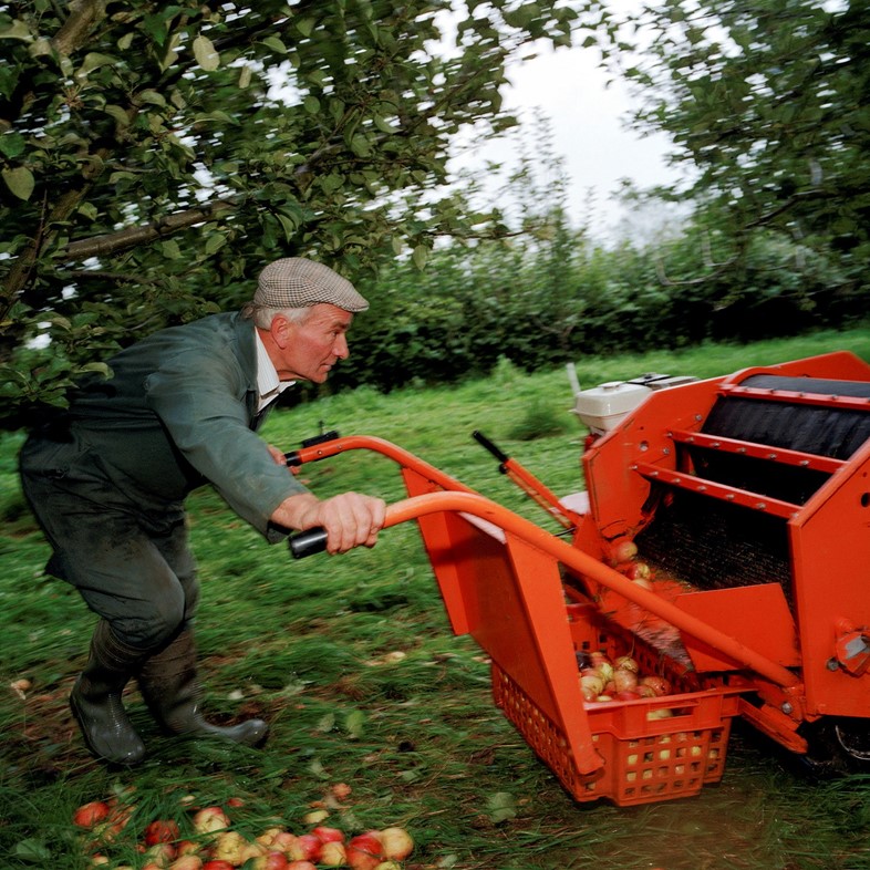 low Picking up apples_Chew Stoke_Martin Parr