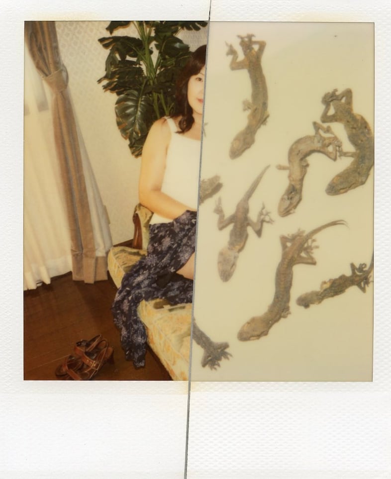 400 Polaroids by Nobuyoshi Araki and Daido Moriyama