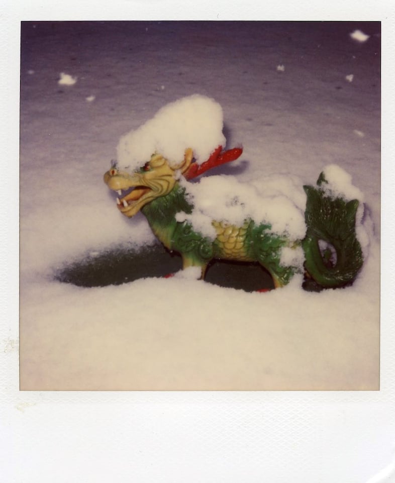 400 Polaroids by Nobuyoshi Araki and Daido Moriyama