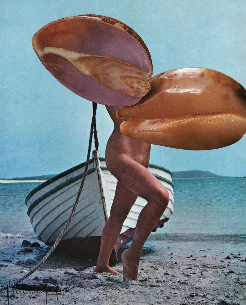 Linder / Hannah Wilke at Alison Jacques