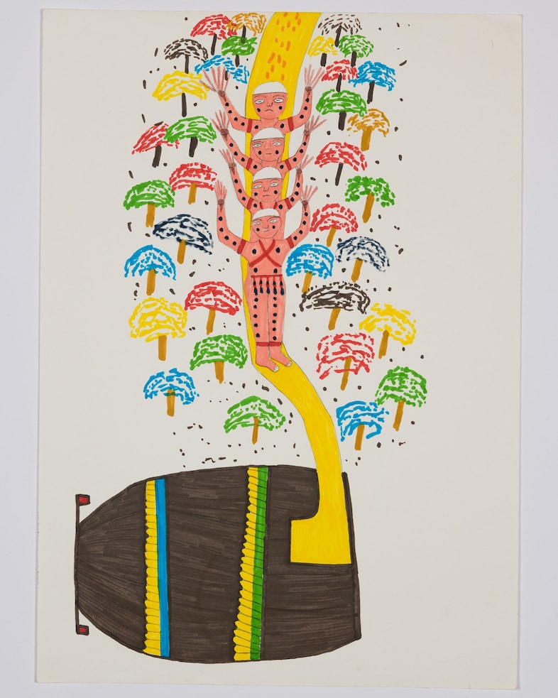The Yanomami Struggle The Shed Claudia Andujar