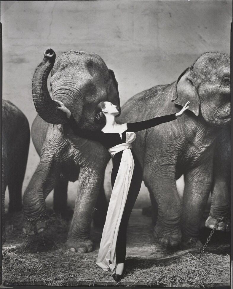 Dovima with elephants, evening dress by Dior, Cirq
