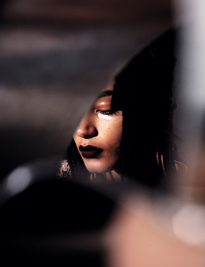 Dream of the Red Chamber