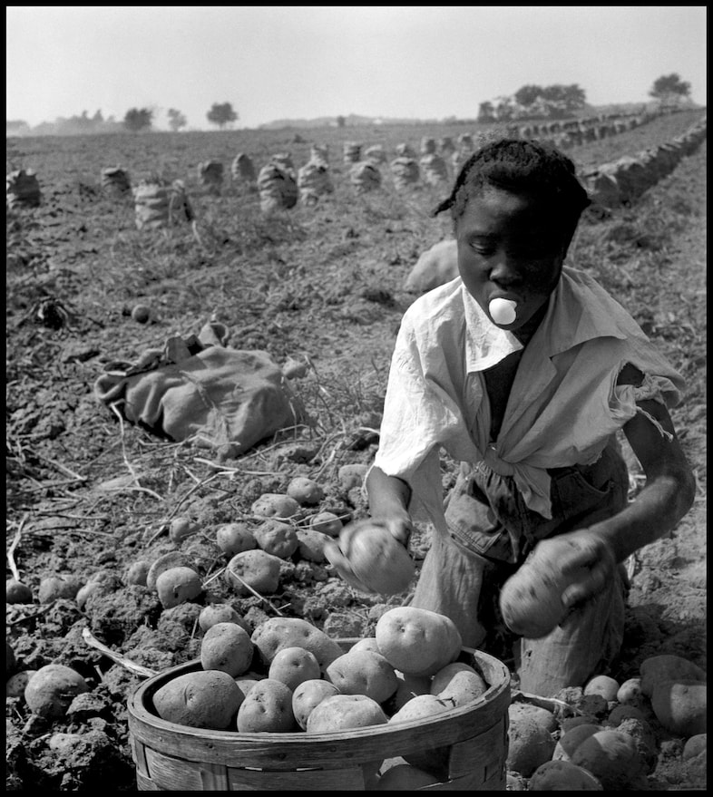 &#169; Eve Arnold Estate, Migrant potato picker. Long I