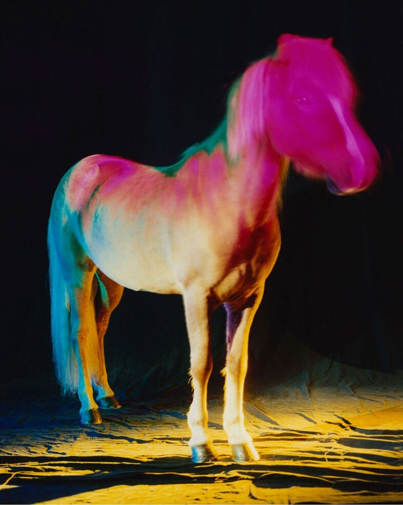 The Horses by Gareth McConnell