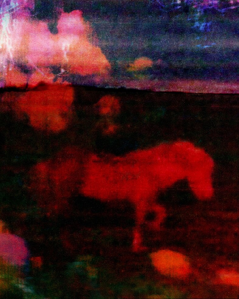 The Horses by Gareth McConnell