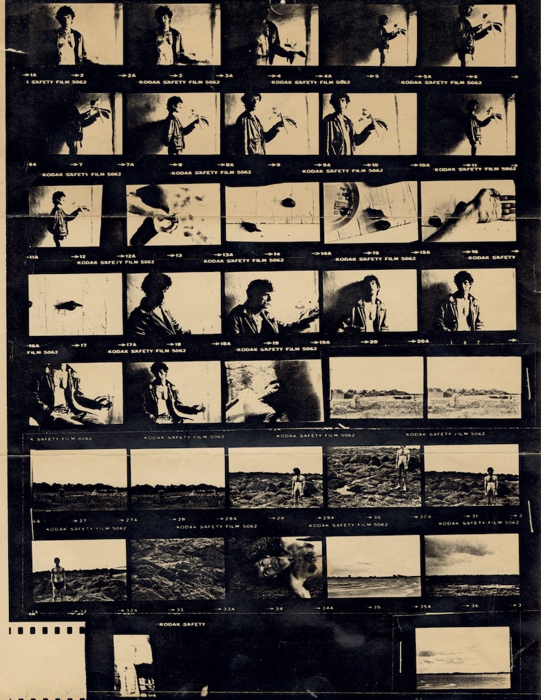Dear Jean Pierre by David Wojnarowicz