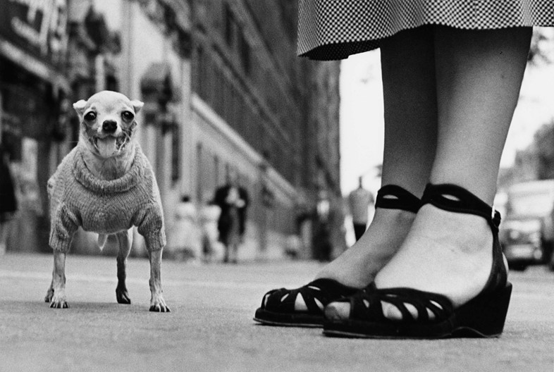 New York City, 1946 &#169; Elliott Erwitt image courtes