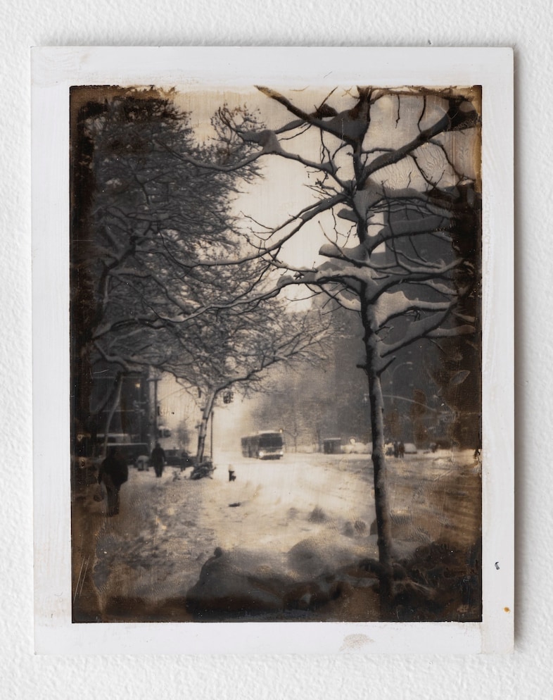 Gail Thacker’s Midnight Call