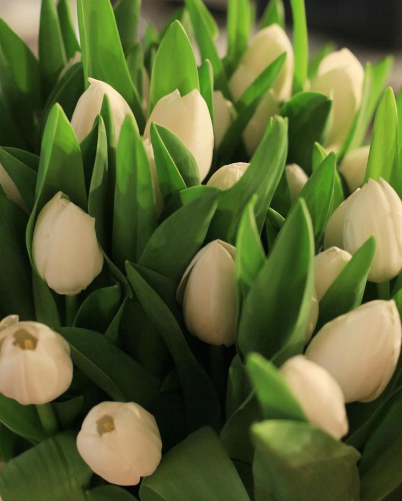 Bleue Burnham’s Jewellery and Flower Market Harrods