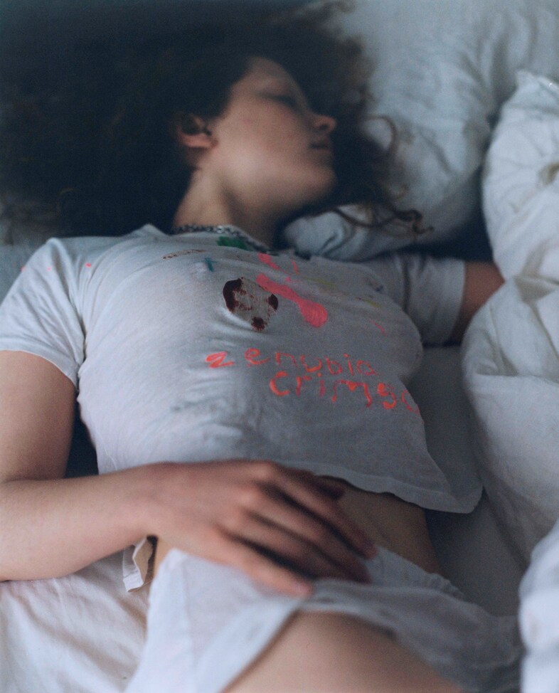 Zenobia’s Dreams by Laura Marie Cieplik