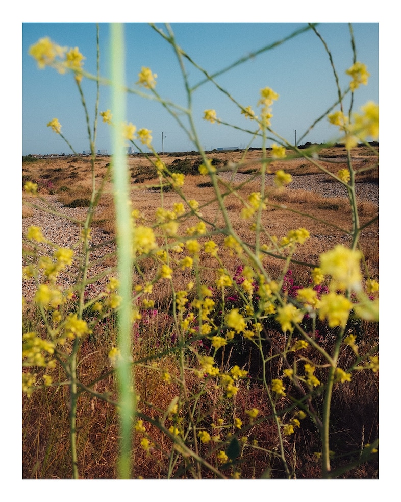 Have a Butchers Charity Print Sale