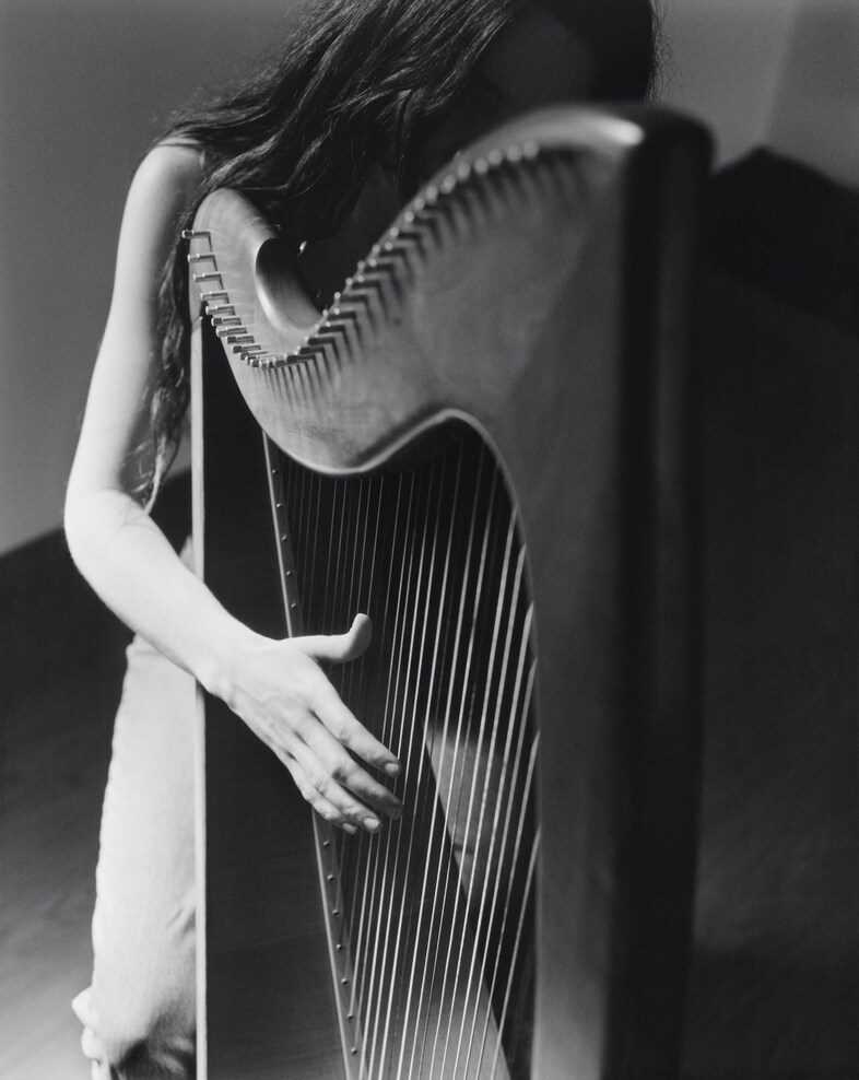 Dissonance by Senta Simond