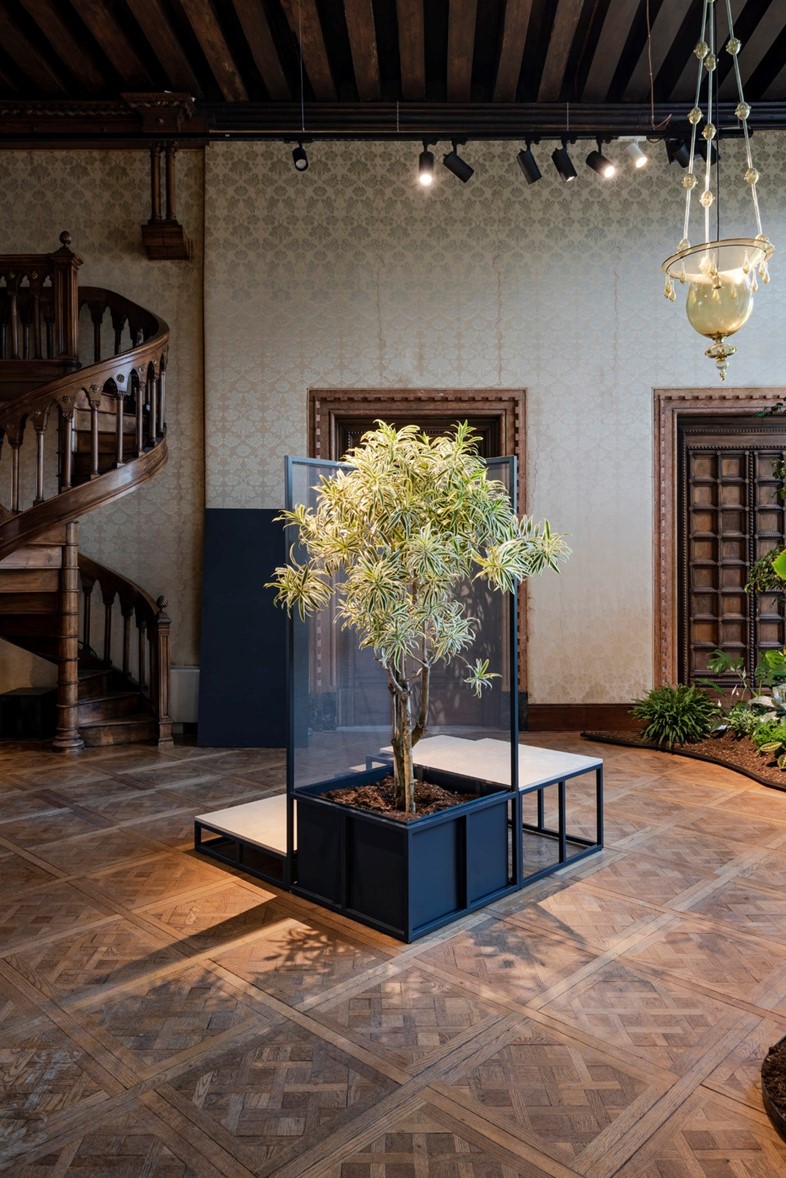 Greenhouse at the Venice Biennale 2024 Portugal Pavilion 