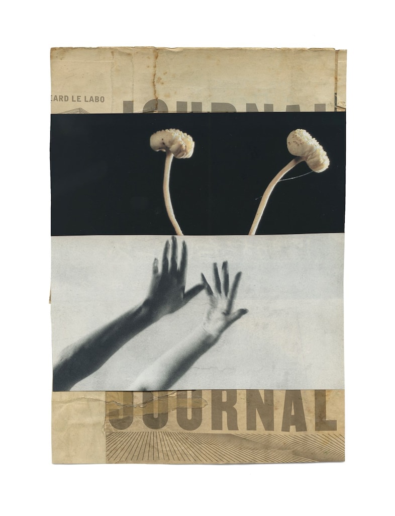 Le Labo by Katrien De Blauwer