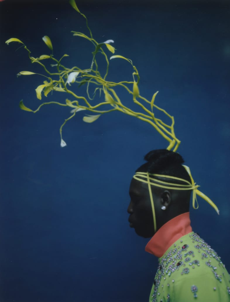 Pola_10