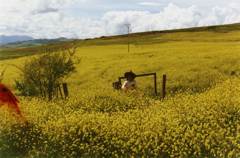 Where the Flowers Bloom by Ana Flores