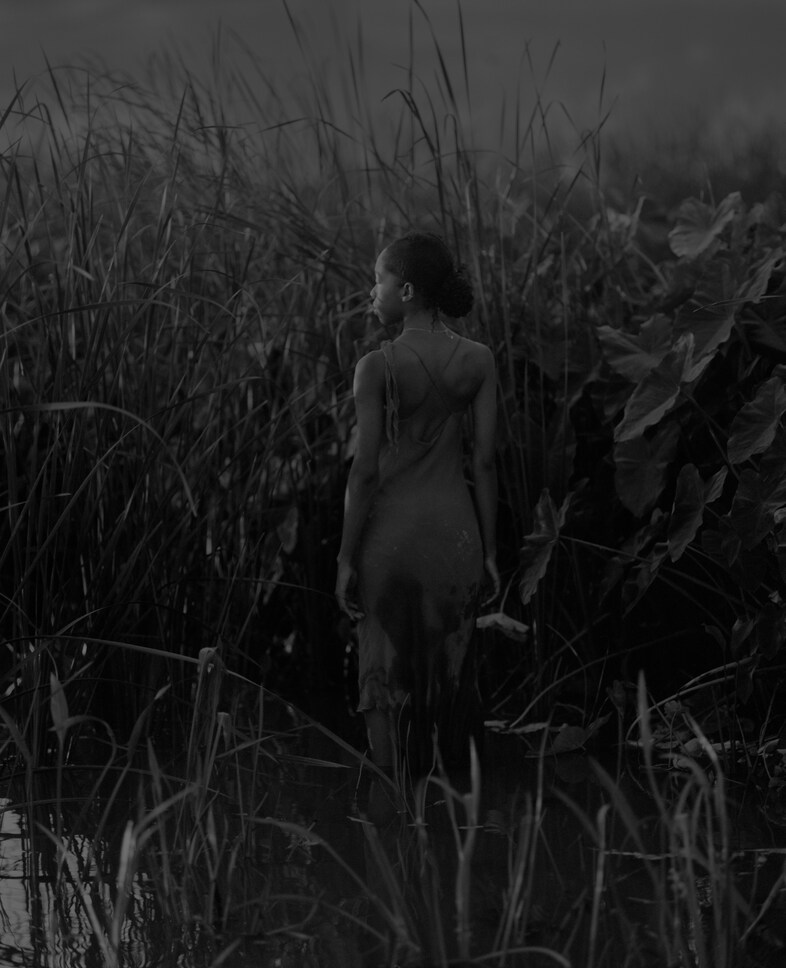 Widening the Lens at the Carnegie Museum of Art