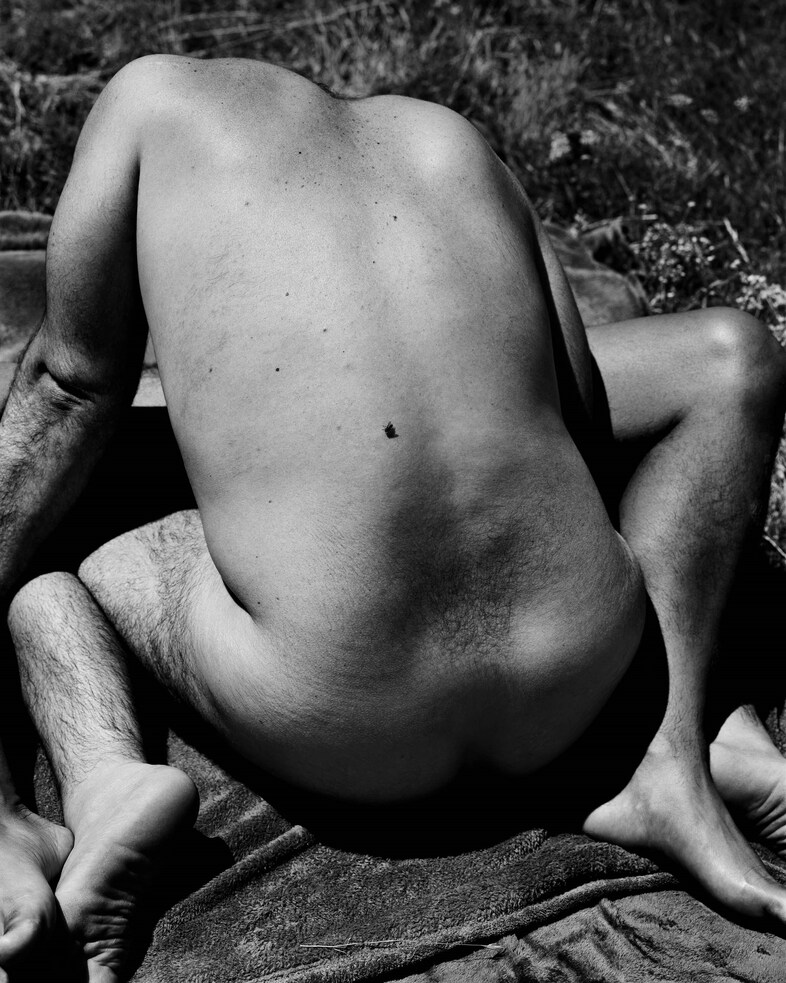 Widening the Lens at the Carnegie Museum of Art