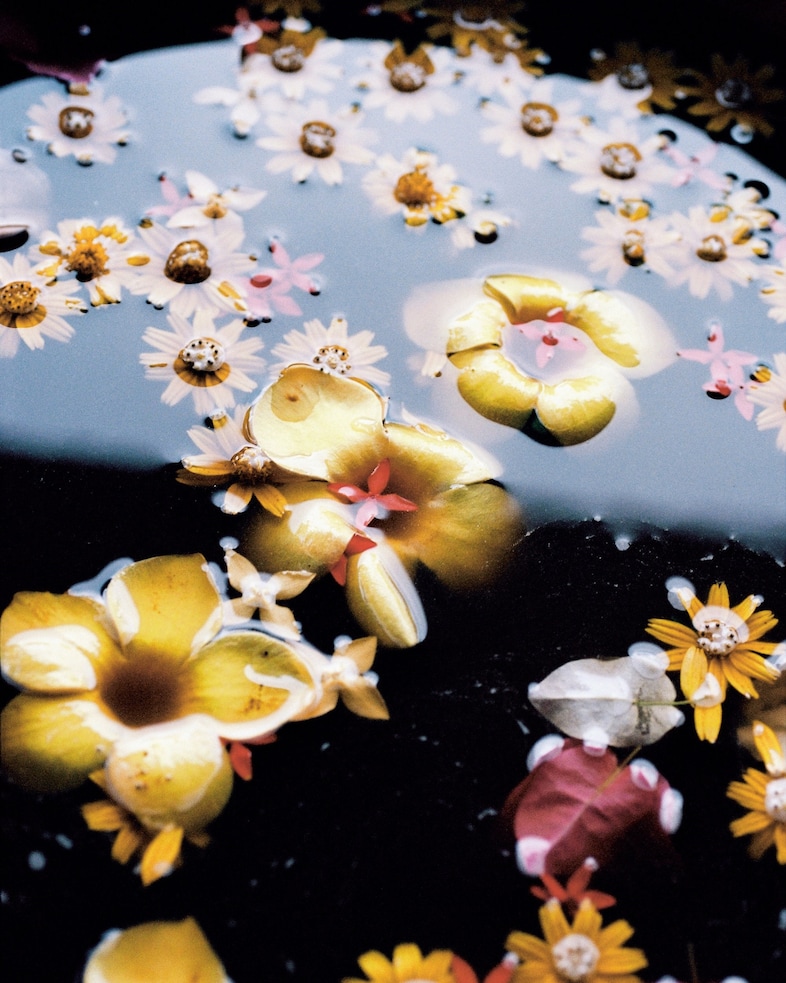 D&#237;as by Pia Riverola Loose Joints