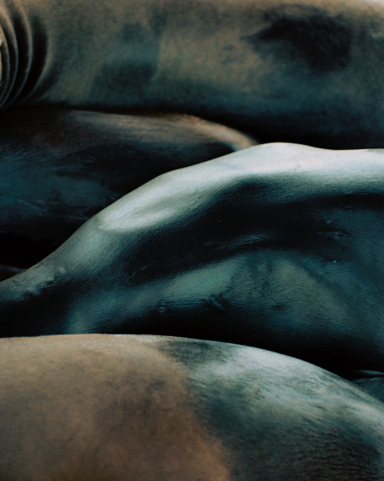 D&#237;as by Pia Riverola Loose Joints