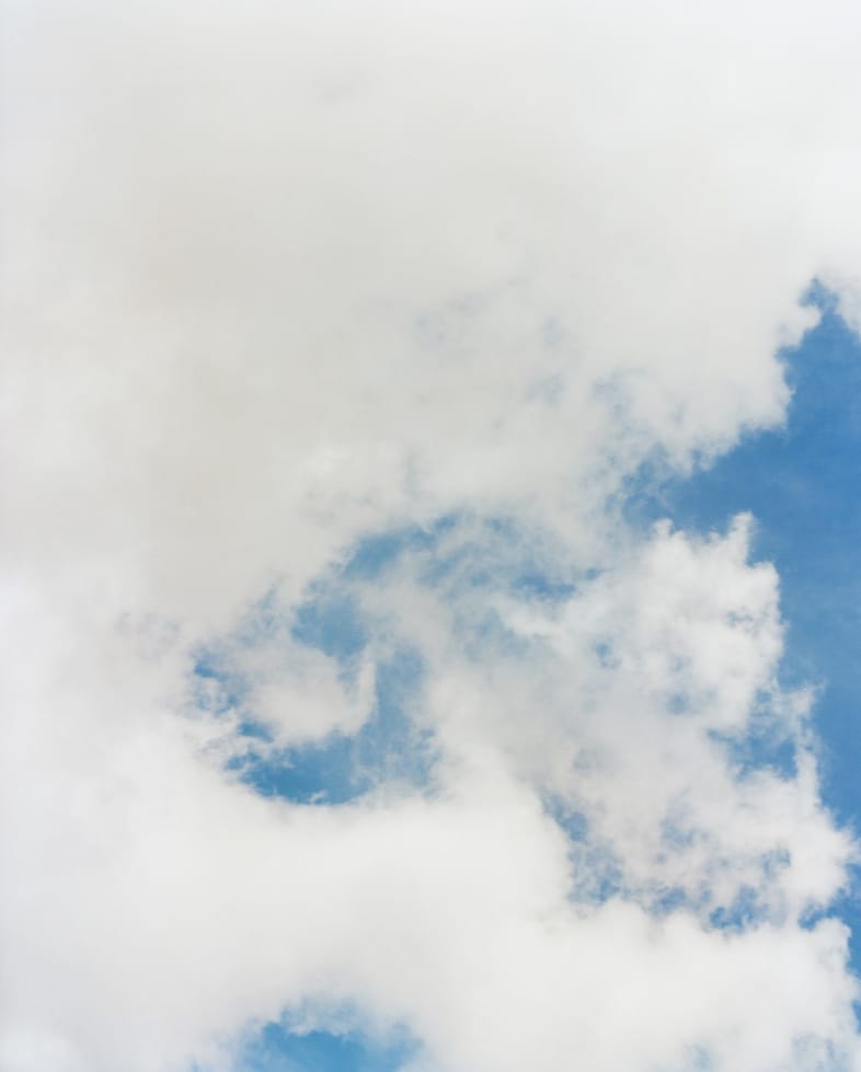 Dudley Coppice Autumn/Winter 2024