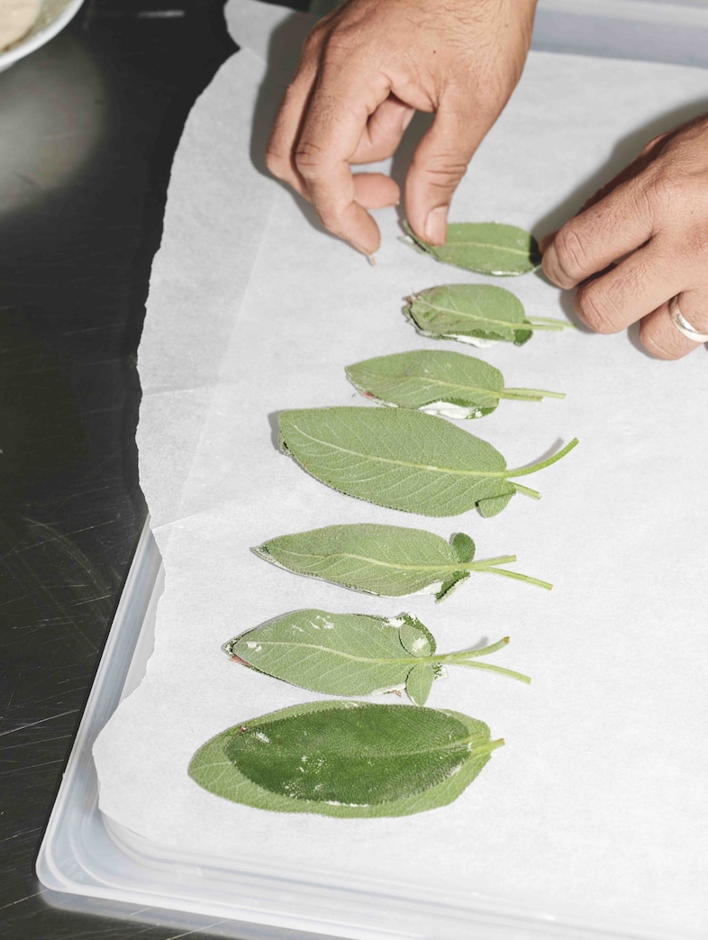 Caf&#233; Cecilia Cookbook by Max Rocha