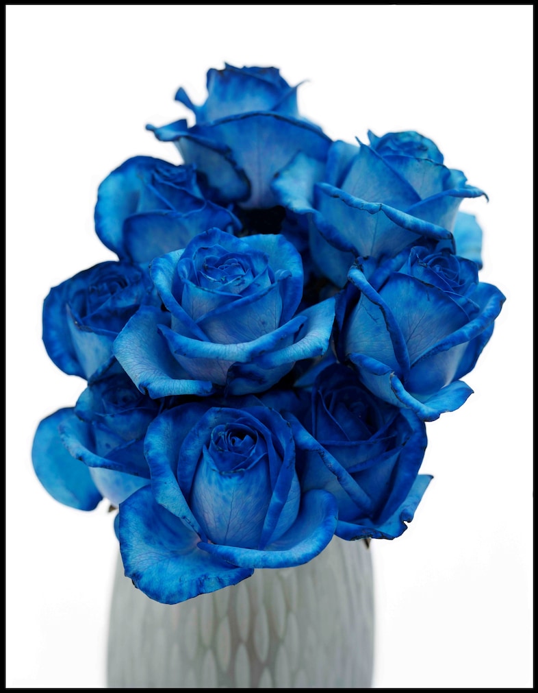 Blue: Art for the Ocean Curated by Jefferson Hack