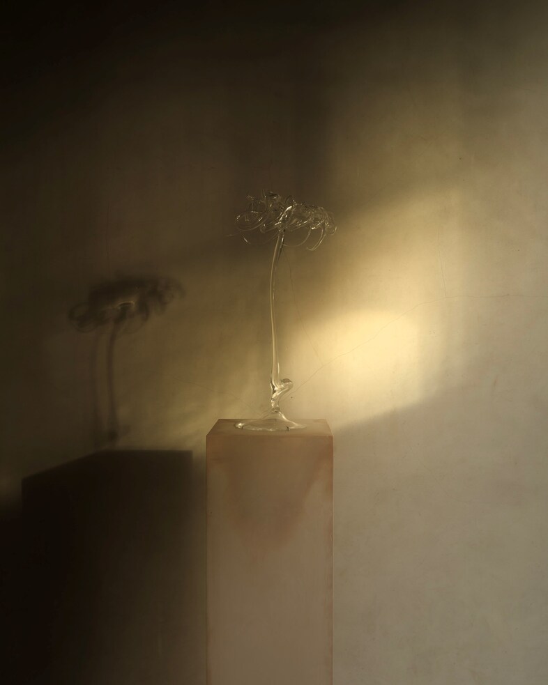 Miranda Keyes glass Tulips exhibition 2024