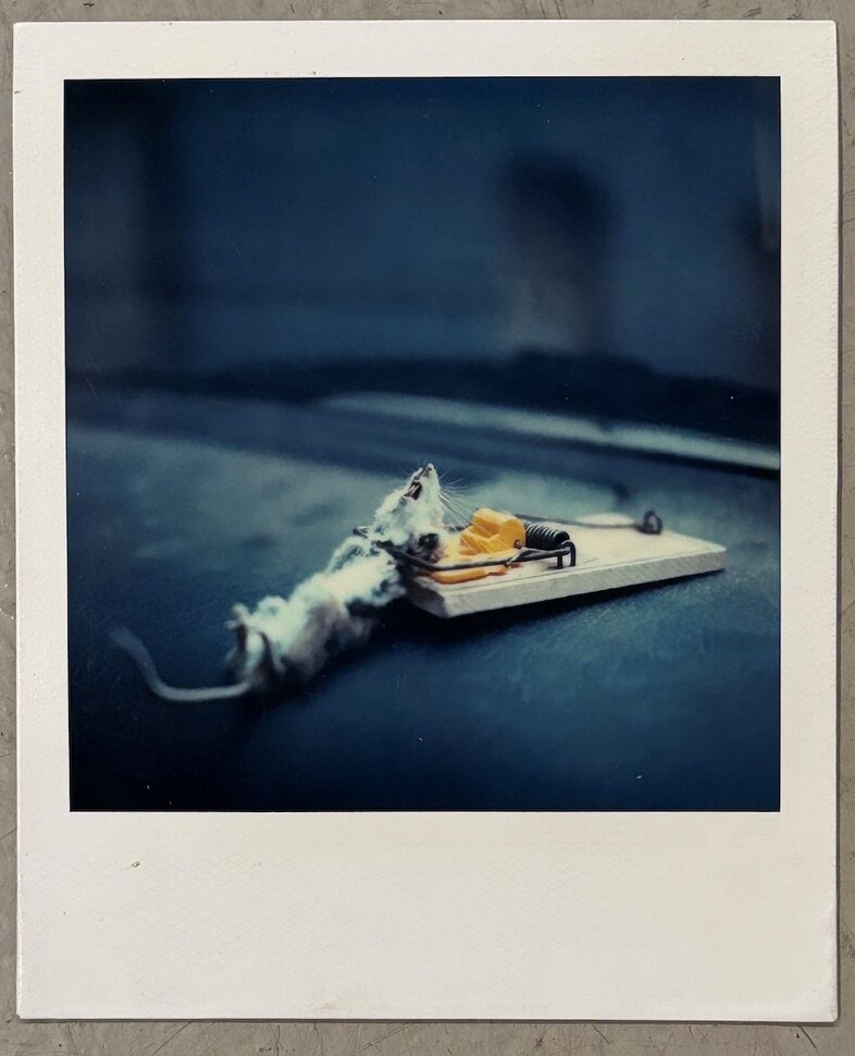 Polaroids, Small Prints and Ephemera 