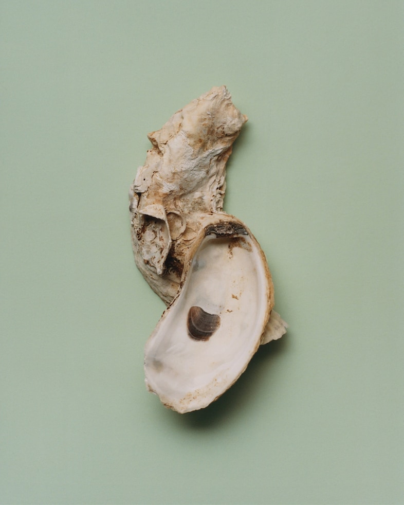 Loewe Foundation Craft Prize 2025