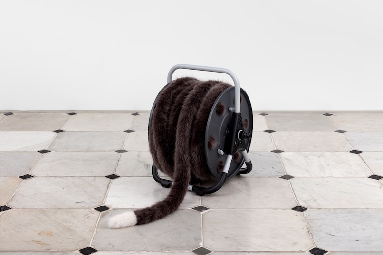 HS21-NW8990S_1
