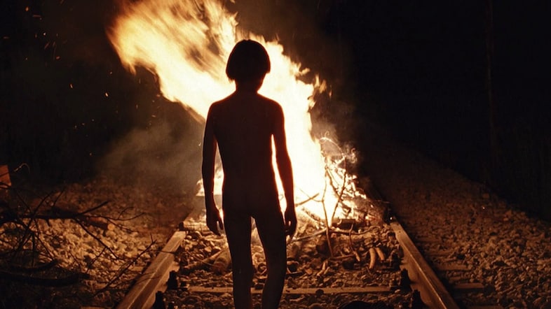 Time of the Wolf, 2003
