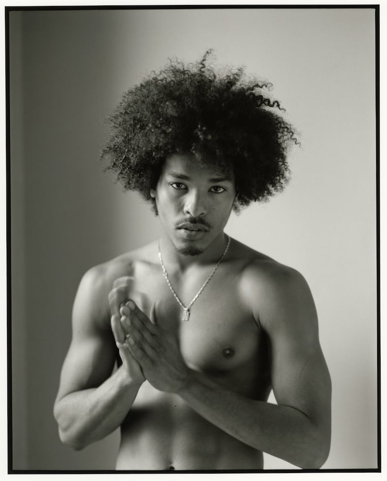 David Armstrong: Fashion