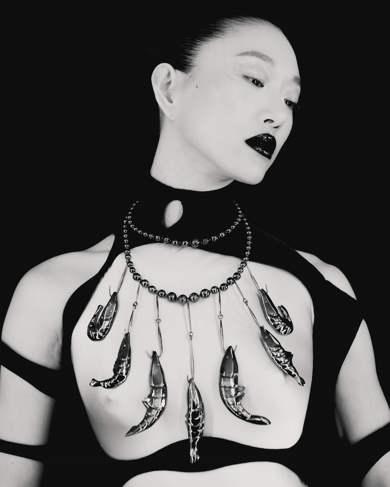 Schiaparelli Autumn/Winter 2025 Haute Couture 