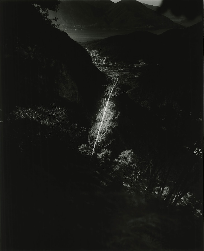 SWITZERLAND (37) (1)