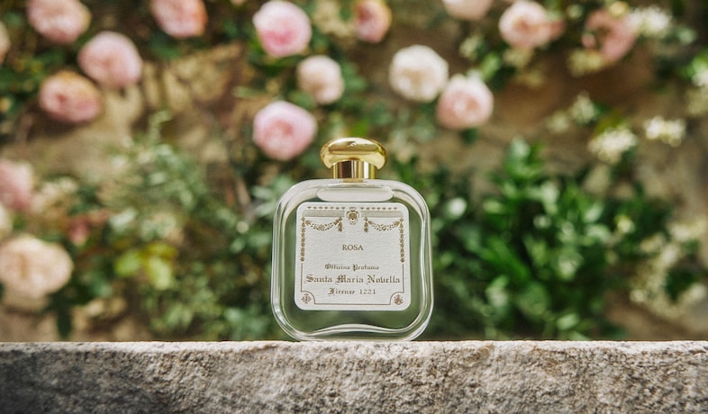 Rosa de Santa Maria Novella 