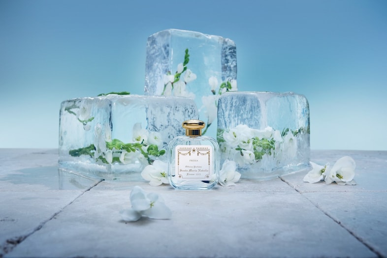   Fresia de Santa Maria Novella